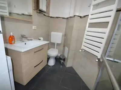 Garsoniera de vanzare-cumparare Sector 2 Bucuresti baie